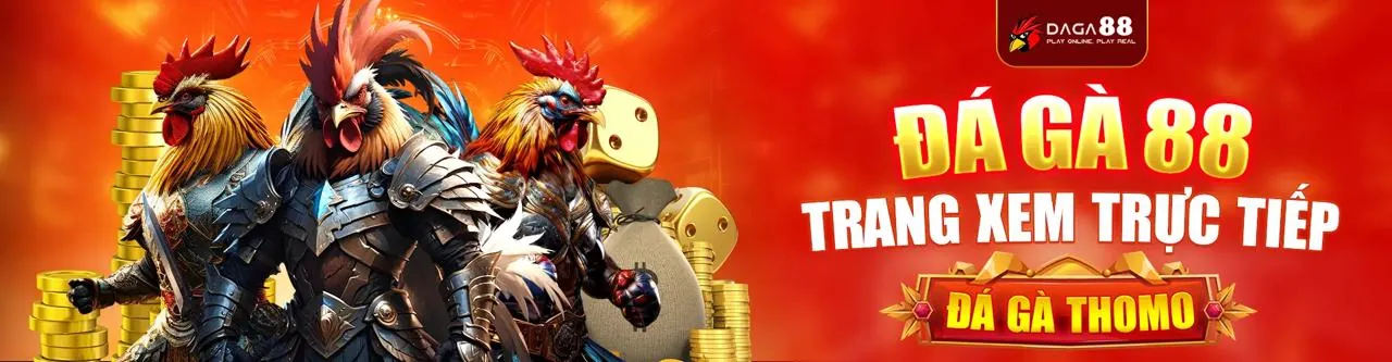 Đá Gà Trực Tuyến Hấp Dẫn trên VT88 App