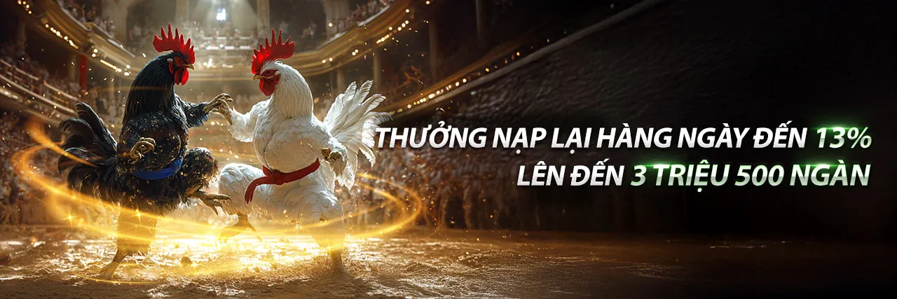 Đá gà trực tuyến trên VT88 App với trận đấu kịch tính