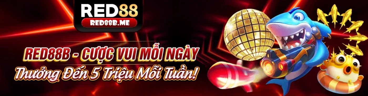 Dịch vụ hỗ trợ khách hàng chuyên nghiệp của vt88 app 2026