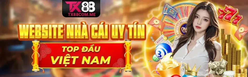 Hình ảnh đại diện cho Chính sách Bảo mật Dữ liệu GDPR của VT88 App